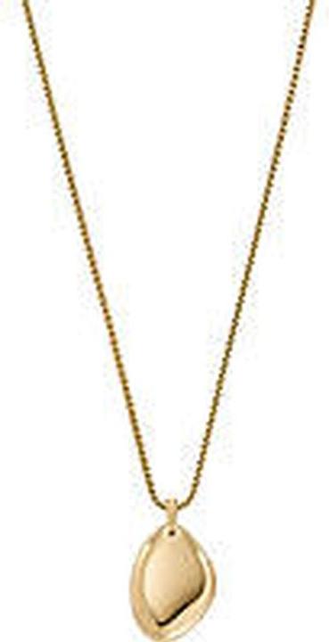 Image du produit Skagen Engravables (Acier inoxydable, 45 cm)