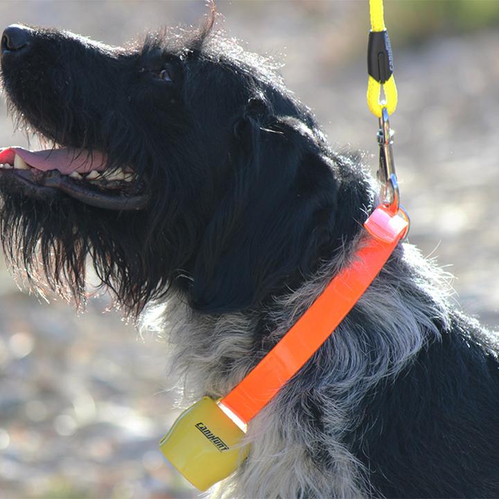 Actual product image Canihunt Alp (Dog)