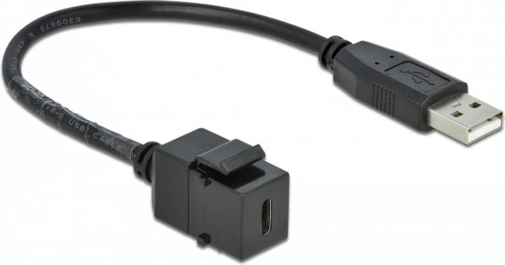 Image du produit Delock Module Keystone (0.25 m, USB 2.0)