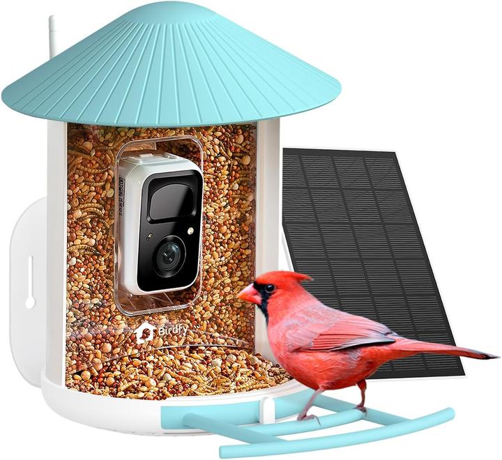 Actual product image Birdfy Bird feeder with solar panel