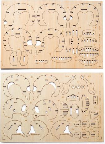 Produktbild Kikkerland Skull 3D Puzzle (1 Teile)