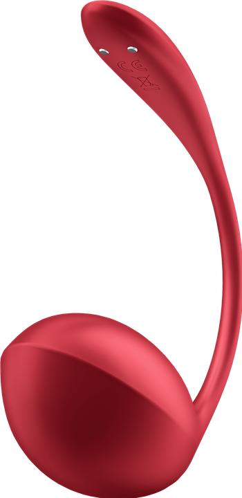 Produktbild Satisfyer Shiny Petal