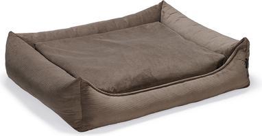 Actual product image Beeztees Veo (Dog)