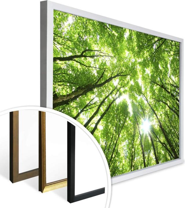 Produktbild Trenddeko Sunny Forest 2 (60 x 50 cm)