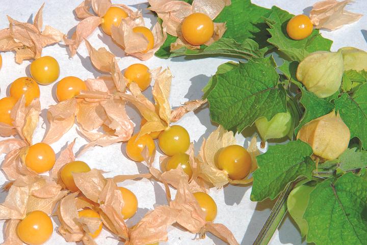 Image du produit Zollinger Bio Physalis, cerise d'ananas