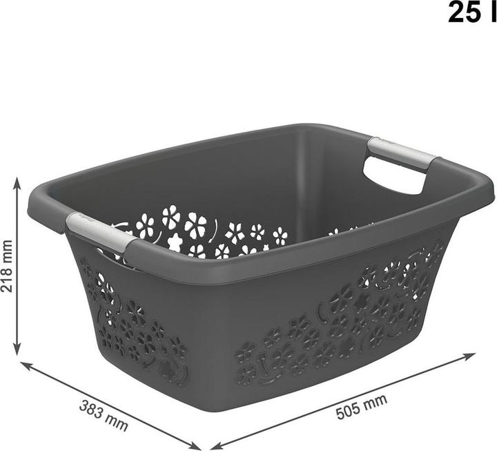 Image du produit Rotho Fleurs (25 l)