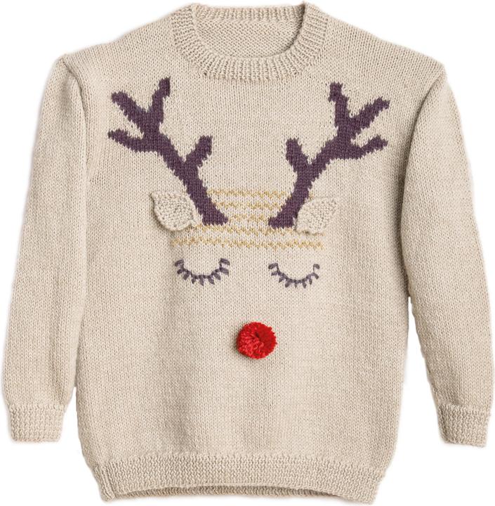 Actual product image Rico Design Christmas Jumper (FR) (French)