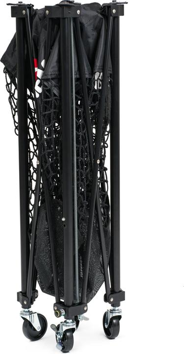 Immagine prodotto Sport-Thieme Portapalle