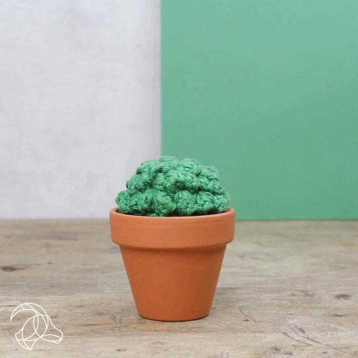 Immagine prodotto Hardicraft Cactus - Set per uncinetto
