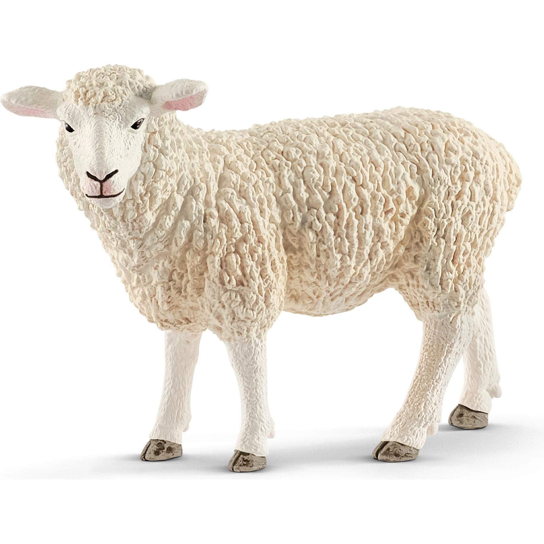 Schleich Schaf