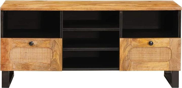 Image du produit vidaXL TV-Schränk (100 x 33 x 46 cm)
