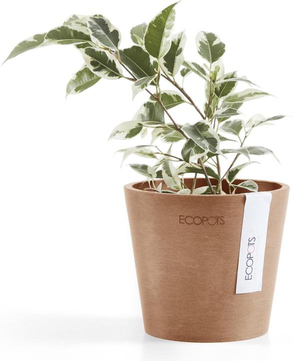Actual product image Ecopots Amsterdam Mini (10.50 cm)