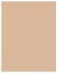 Image du produit L'Oréal Paris Infaillible 24H Fresh Wear (140 Golden Beige)