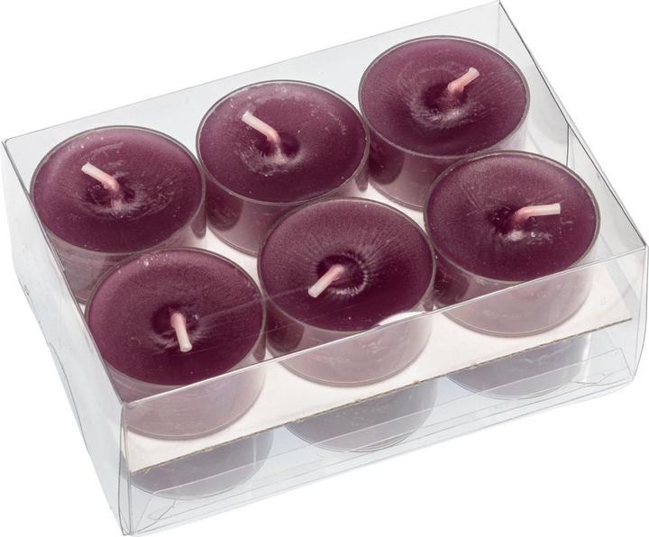 Produktbild Steinhart Lights (12 Stk.)