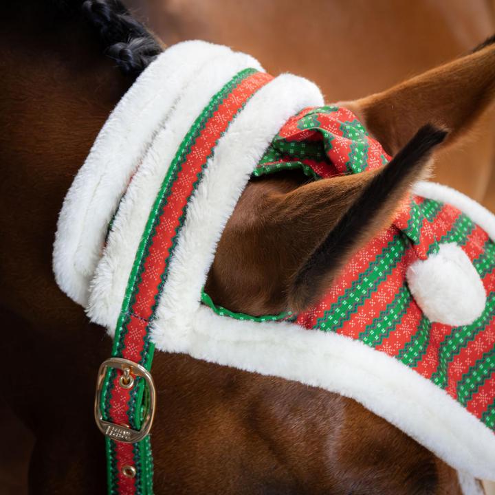 Immagine prodotto Harry's Horse Christmas