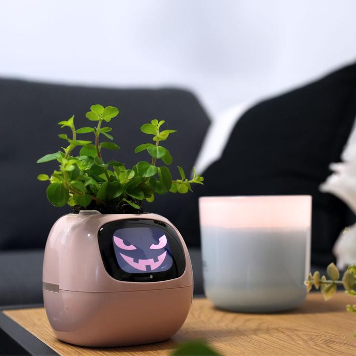 Produktbild Hermex Smarter Blumentopf (9 x 11 x 9 cm)