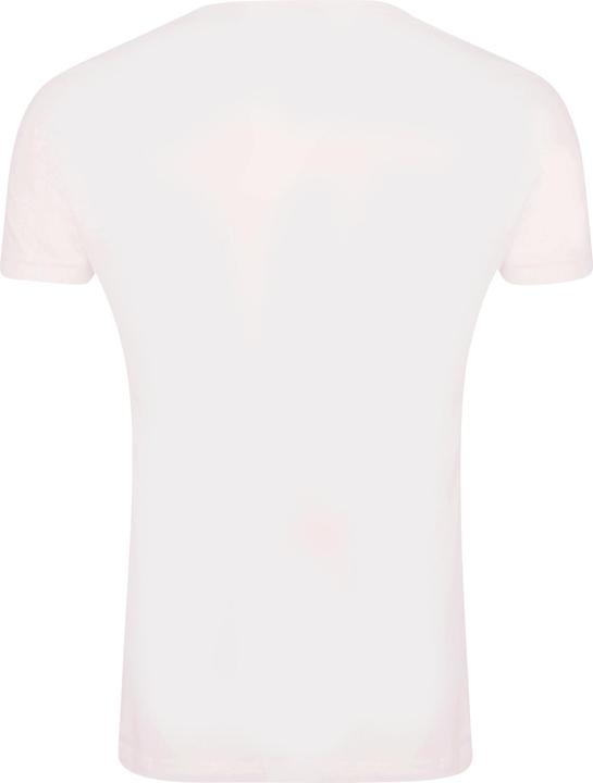 Actual product image Music Brand Unisex Adult Lichtenstein Prism T-Shirt (XL)