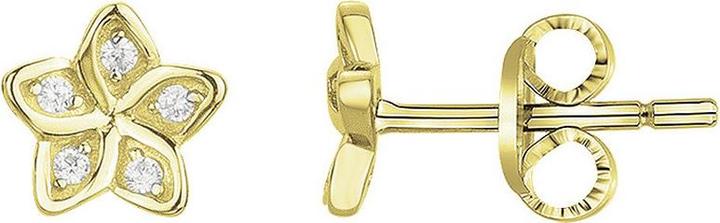 Immagine prodotto Lara Orecchini Placcati Oro - Zirconi (Ottone)