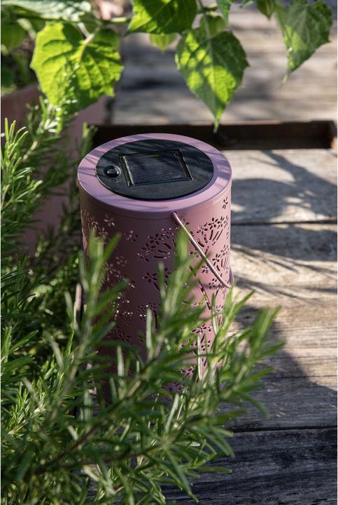 Image du produit STT Solar Flowery Lantern