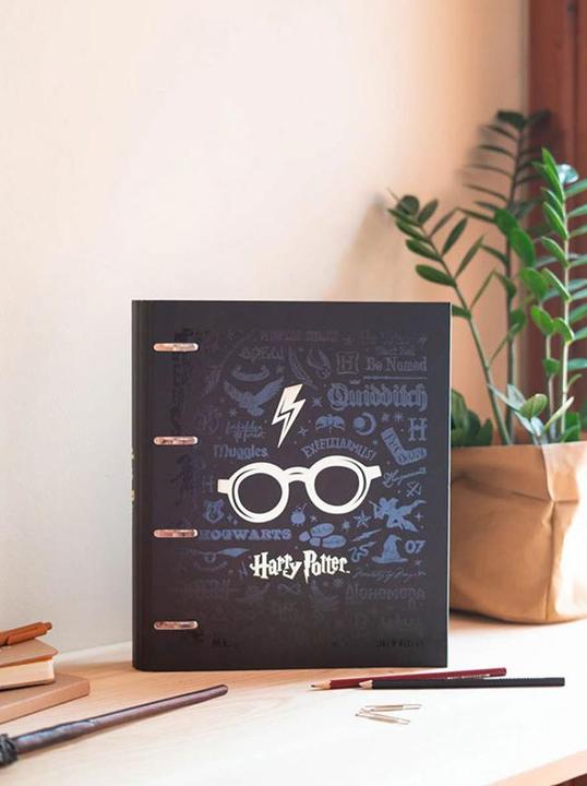 Actual product image Grupo Erik Premium A4 ring binder (32 x 28 cm, 1 Piece)