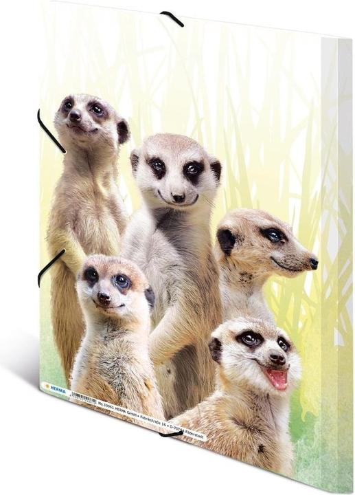 Produktbild HERMA Sammelmappe A4 Motiv (A4, 1x)