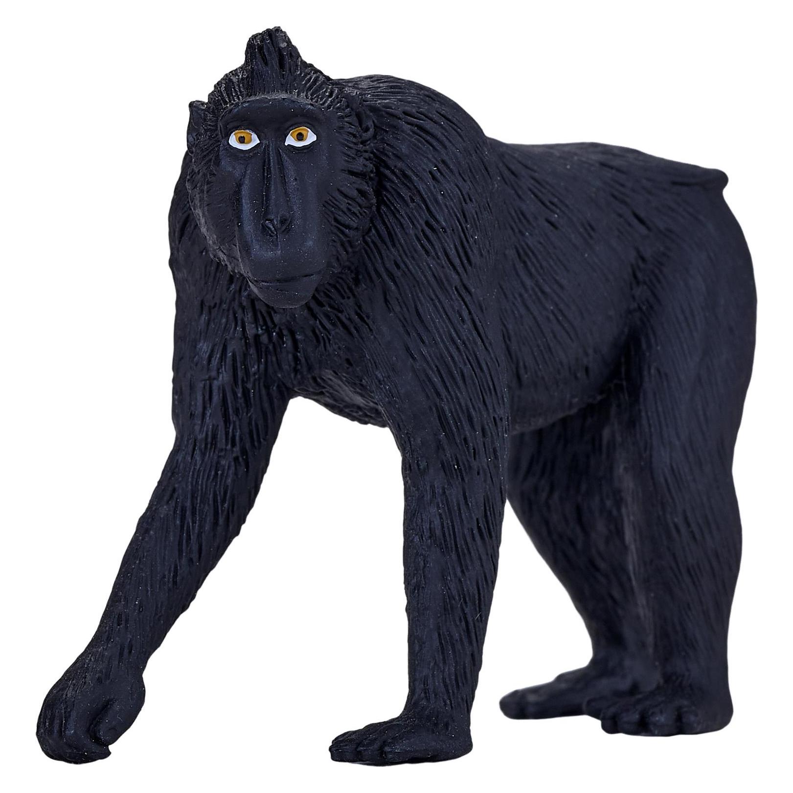 Animal Planet Schopfaffe