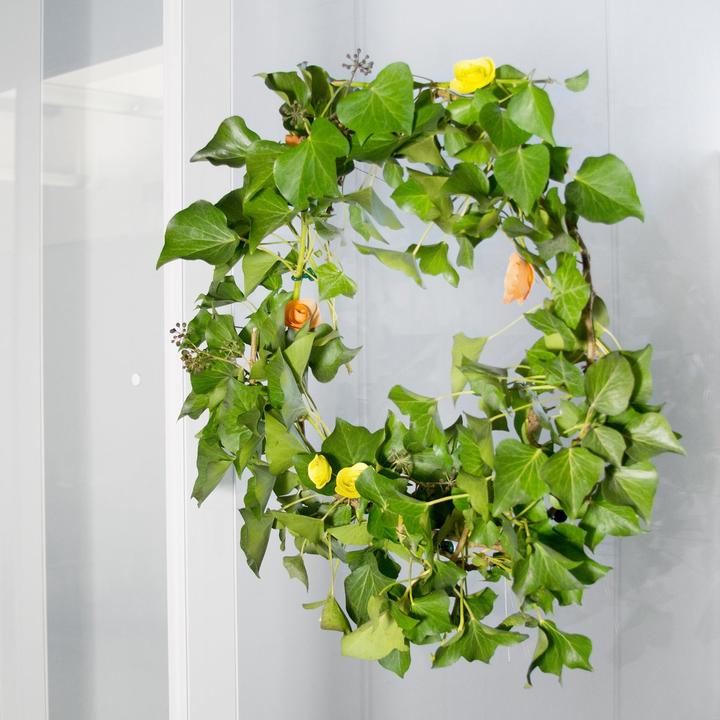 Produktbild Supermagnete Hakenmagnet (2x)