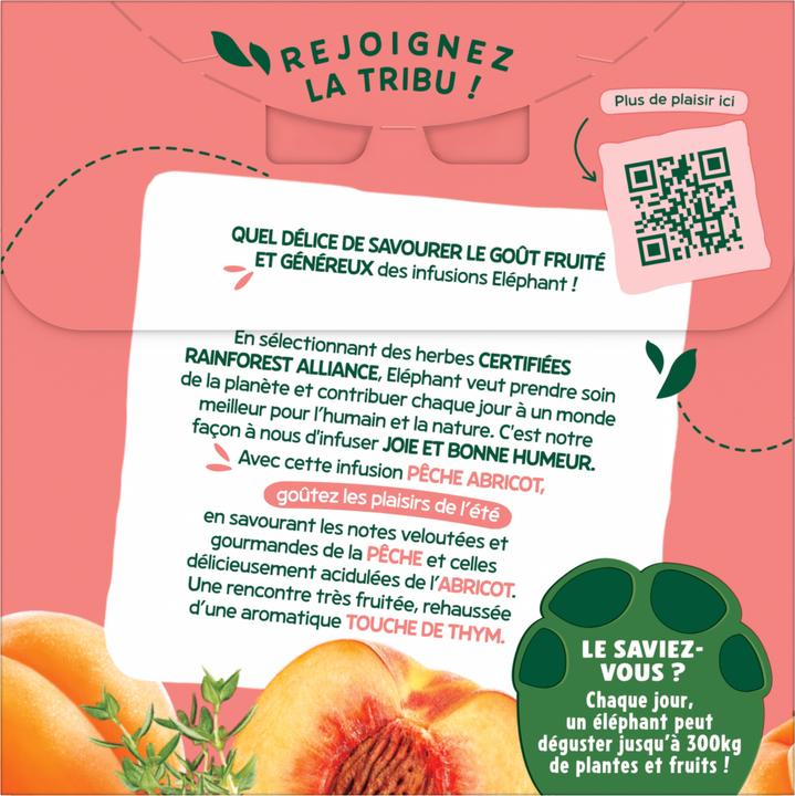 Produktbild Elephant Infusion Péche Abricot (38 g)