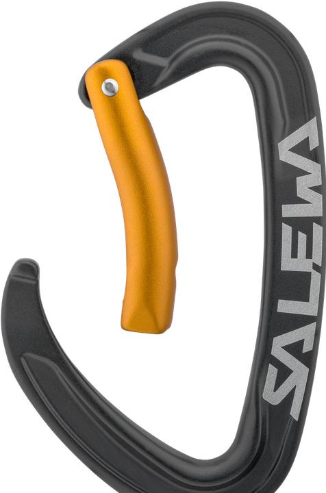 Actual product image Salewa Ortles Bent Carabiner