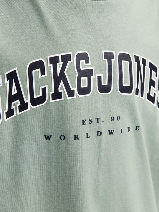 Actual product image Jack & Jones Jjecaleb Varsity Tee Ss O-Neck Noos Jnr (176)