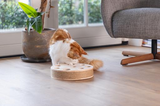 Immagine prodotto Designed by Lotte Giocattolo per gatti Raya (Catmint giocattolo)