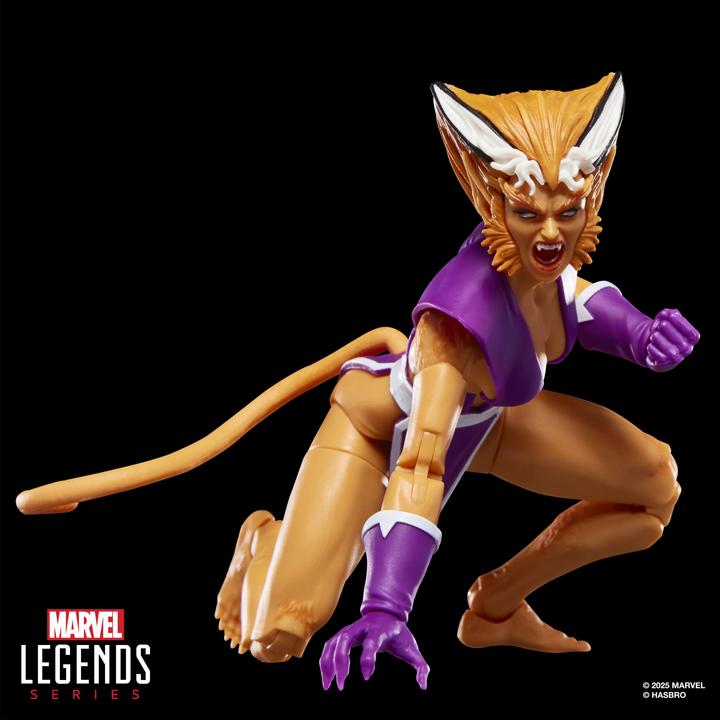 Actual product image Mv Legends W2 Mc 6