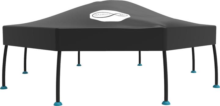 Actual product image TP Toys Cover Octagonal 12FT