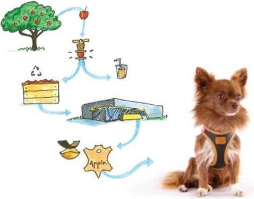 Productafbeelding Curli Harnas Apple Leer, M, Bruin (M, Hond, Algemeen)
