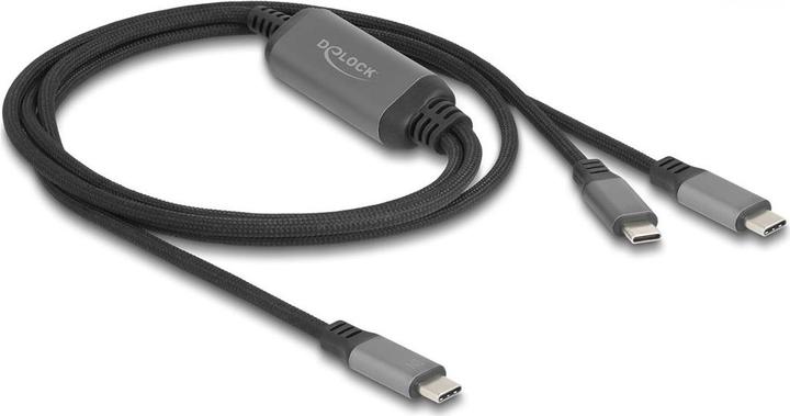 Image du produit Delock 81271 - Câble USB-C en Y 1 x mâle vers 2 x mâle PD 3.0 100 W, 1,2m (1.20 m, USB 2.0, 100 W)