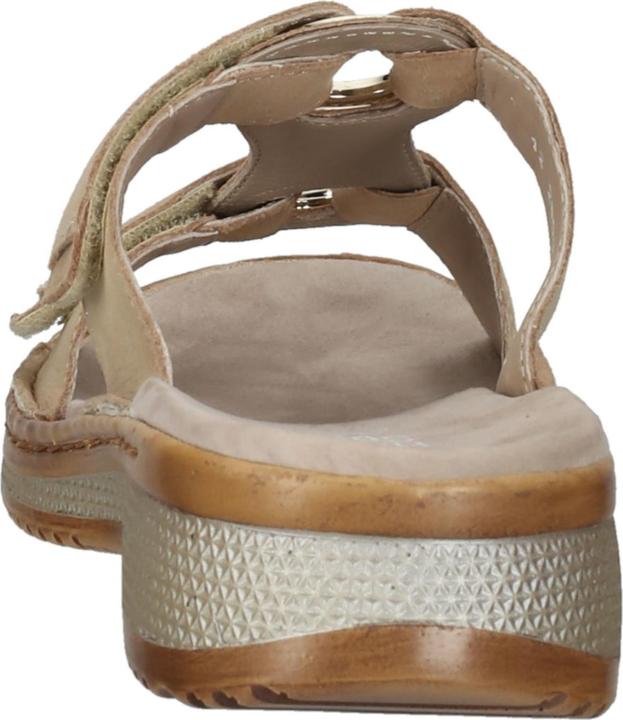 Immagine prodotto Ara 12-29003 - 55891 (41)