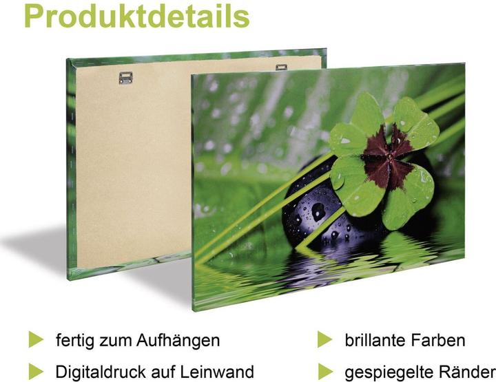 Image du produit Artland Explosion de couleurs éléphant lion zèbre tigre K1PT (30 x 30 cm)
