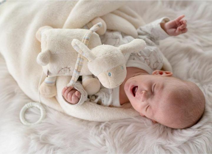 Produktbild Fehn Spieluhr Schaf