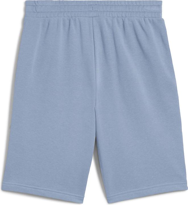 Actual product image Puma ESS 2 COLOR No. 1 Logo Shorts 10" TR (M)