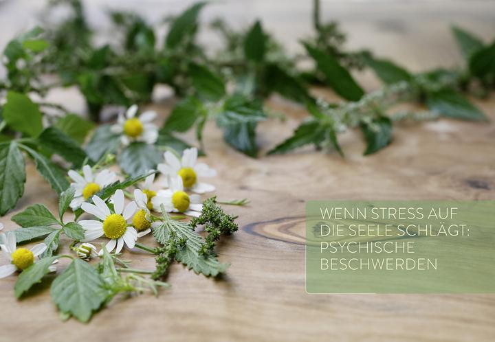 Produktbild Girsch:Mit Naturheilkunde Stress bewält (Deutsch, Michaela Girsch, 2024)