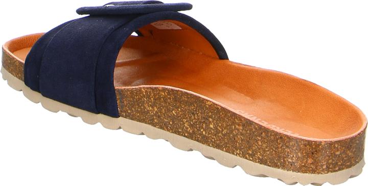 Immagine prodotto Verbenas Reiko (37)