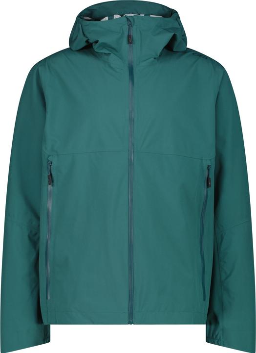 lichen-alpine, Tuerkis