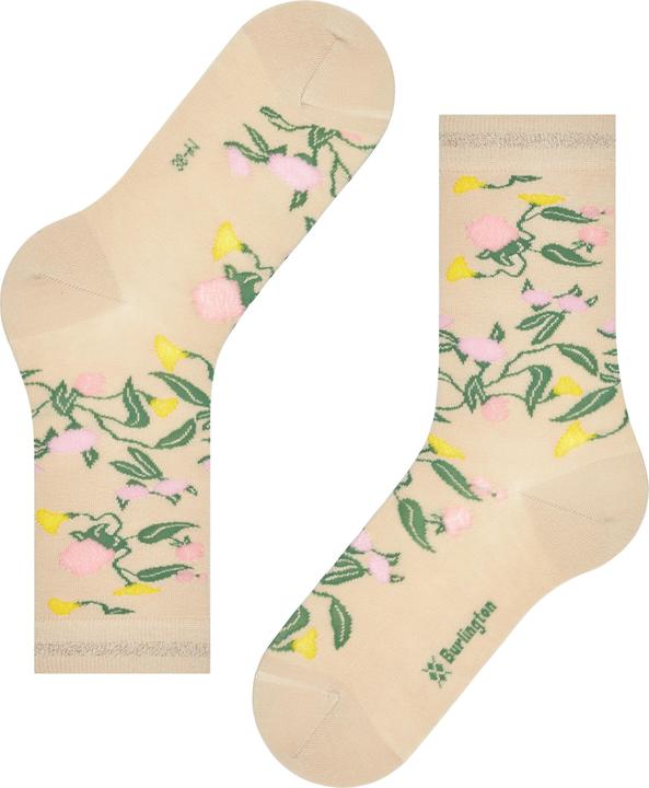 Immagine prodotto Burlington Botanical (36 - 41)