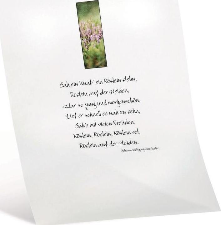 Image du produit Folia Papier transparent blanc extra fort (115 g/m², A4, 10 pcs)
