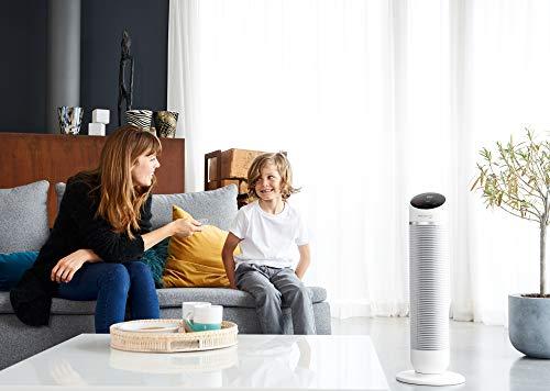 Image du produit Rowenta HQ8120 Confort silencieux (61 dB)