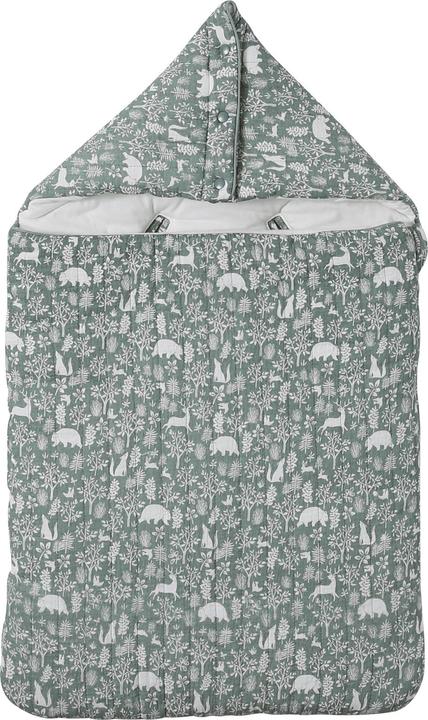 salbeigrün waldspaziergang