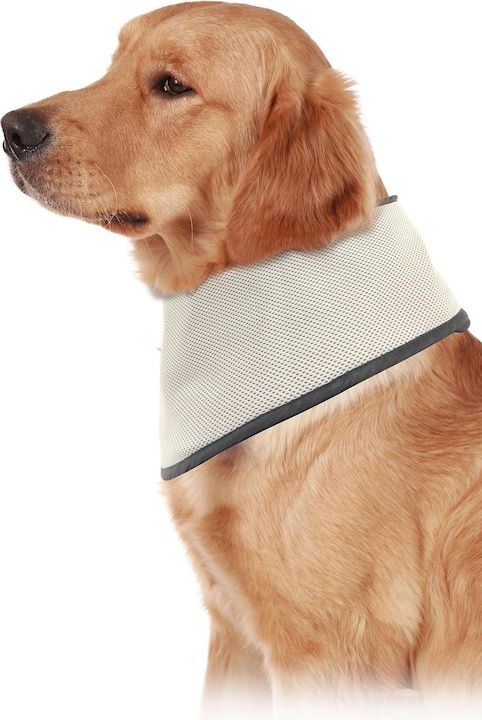 Immagine prodotto Swisspet Sciarpa di raffreddamento (L, Bandana per cani)