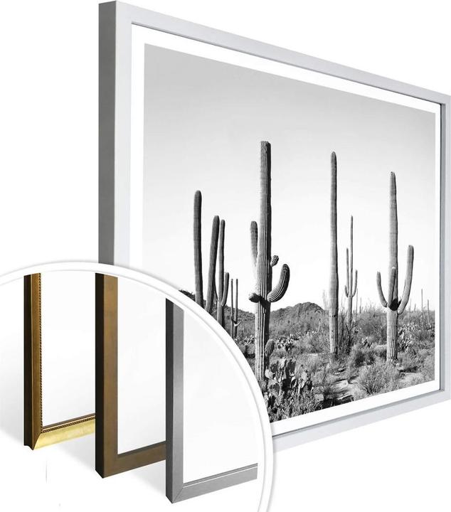 Image du produit Trenddeko Cactus dans le désert (50 x 40 cm)