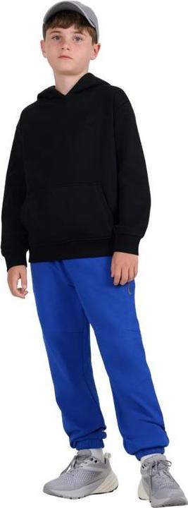 Image du produit 4F Junior-Sweatshirt (140)