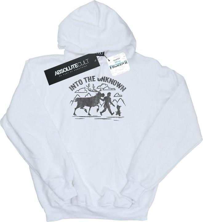 Image du produit Disney - Sweat à capuche FROZEN INTO THE UNKNOWN - Homme (M)